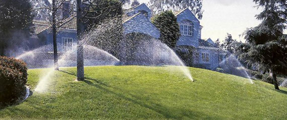 Sprinkler System
