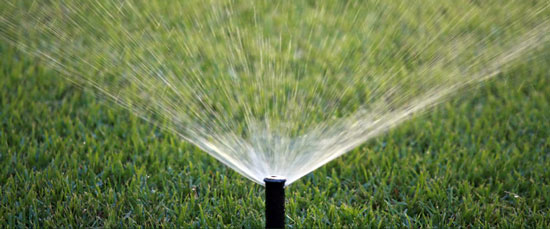 Sprinkler System